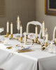 Nature Inspired Metal Candlestick Holder / Lixra