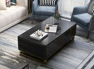 Shiny Wooden Luxurious Coffee Table / Lixra