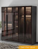 Ingenious Luxury Glass Door Wardrobe/ Lixra