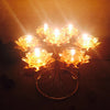 Gold-Plated Obsolete Lotus Candle Holder/ Lixra