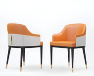 Ultra Modern Leather Dining Chairs / Lixra