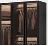 Ingenious Luxury Glass Door Wardrobe/ Lixra