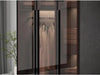 Ingenious Luxury Glass Door Wardrobe/ Lixra