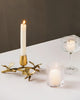 Nature Inspired Metal Candlestick Holder / Lixra