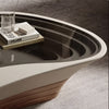 Modern Curved Glass Top Coffee Table / Lixra