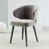 Modern Metallic Finish Leg Fabric Chair / Lixra