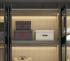 Ingenious Luxury Glass Door Wardrobe/ Lixra