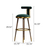 Set of 2 Light Luxurious High Raised Stools With Backrest and Footrest / Lixra
