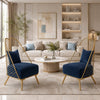 Velvet Fabric Accent Chair Set Of 2 / Lixra