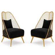 Velvet Fabric Accent Chair Set Of 2 / Lixra