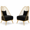 Velvet Fabric Accent Chair Set Of 2 / Lixra