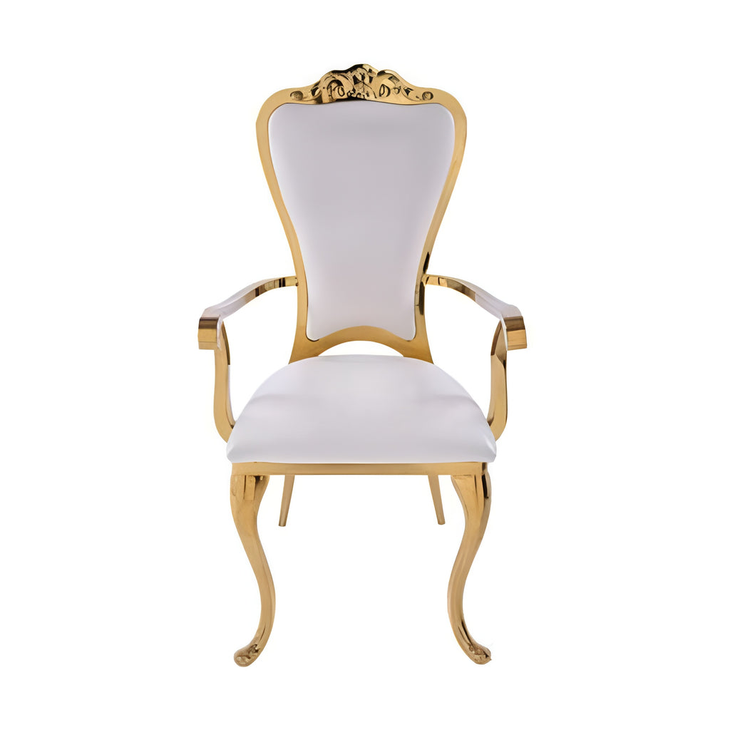Elegant Leather Dining Chairs Set for 4 / Lixra