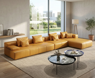 Contemporary Style Magnificent Sectional Sofa / Lixra