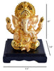 Charming & Attractive Gleamy Gold Statue / Lixra