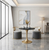 Velvet Fabric Upholstered Modern Chairs Set Of 2 / Lixra