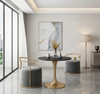 Velvet Fabric Upholstered Modern Chairs Set Of 2 / Lixra
