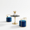 Velvet Fabric Upholstered Modern Chairs Set Of 2 / Lixra