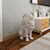 Luxurious and Majestic Lion Sculpture/Lixra