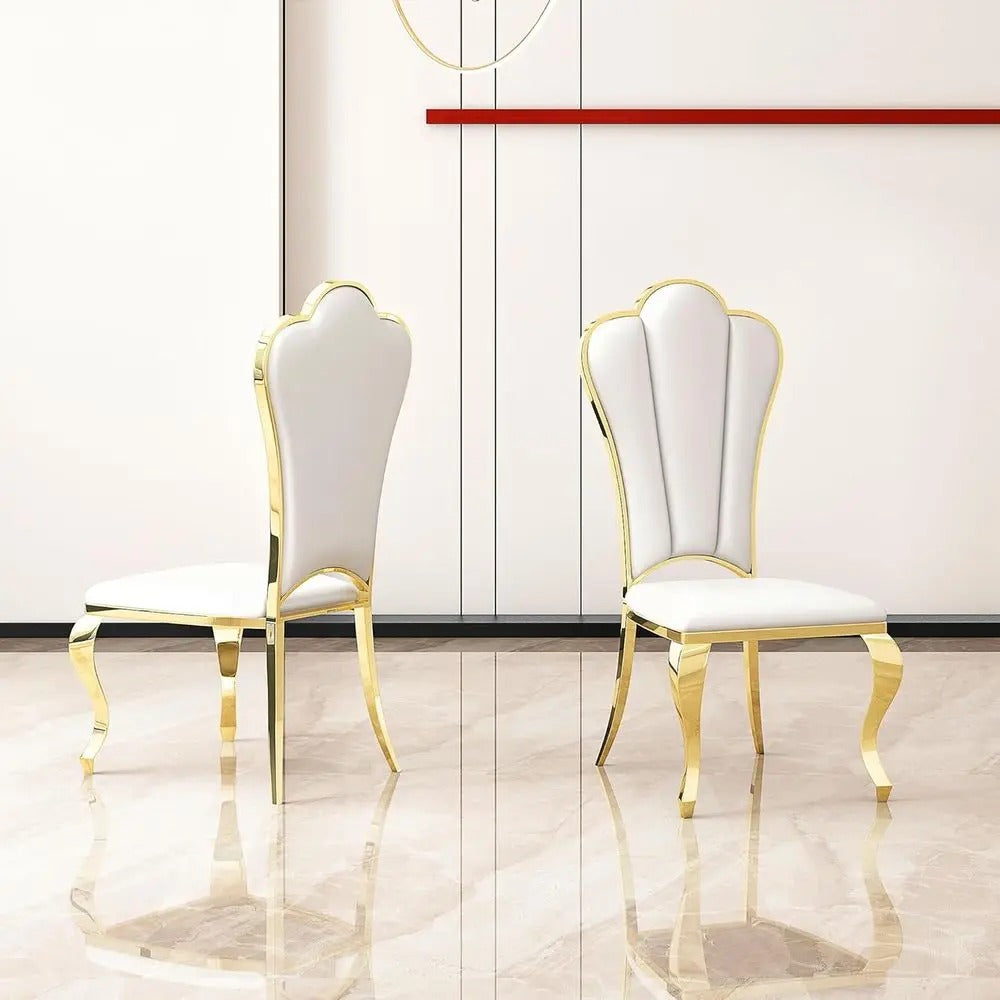 Mid Century Style 2 Pcs Steel Dining Chair / Lixra