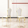 Mid Century Style 2 Pcs Steel Dining Chair / Lixra