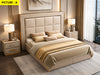 Modern Designed Luxurious Leather Bed / Lixra