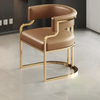 Ritzy Designed Leather Dining Chairs for 6 / Lixra