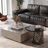 Sumptuous Design Wooden TV Stand With Coffee Table / Lixra