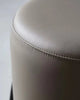 Trendy Leather Accent Chairs Set of 2