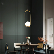 Contemporary Metal Finish Pendant Light / Lixra
