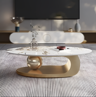 Luxury Modern Oval Coffee Table / Lixra
