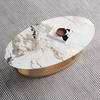 Luxury Modern Oval Coffee Table / Lixra