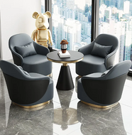 2-Piece Luxury Upholstered Accent Chair Set / Lixra