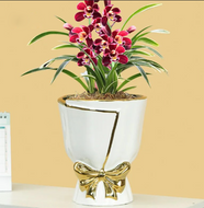 Creative and Luxurious Flower Vase / Lixra