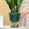 Creative and Luxurious Flower Vase/Lixra