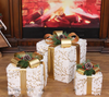 Festive Trifecta 3-Piece Christmas Gift Box Set/Lixra