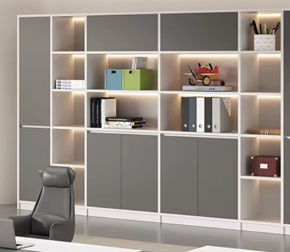 Elegant LED Bookshelf for Home and Office / Lixra