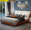 Moderate Design Exclusive Leather Bed / Lixra