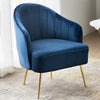 Splendid Fabric Accent Chairs with Metal Legs / Lixra
