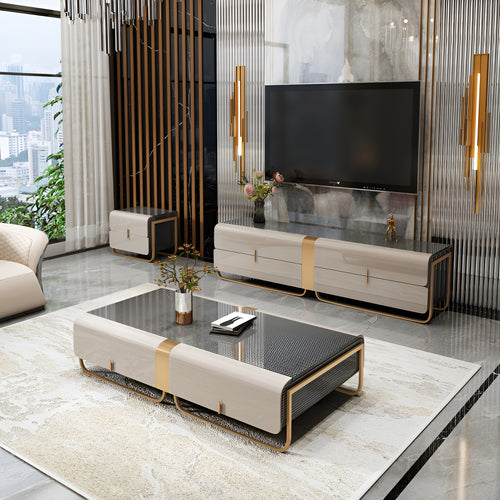 Modern Luxury Coffee table Set with TV Stand and Side Table / Lixra