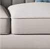 Matte Finish 3-Pcs Leather Sofa Set / Lixra