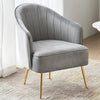 Splendid Fabric Accent Chairs with Metal Legs / Lixra