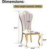 Mid Century Style 2 Pcs Steel Dining Chair / Lixra