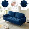 Mid-Century Convertible Tufted Fabric Sofa / lixra