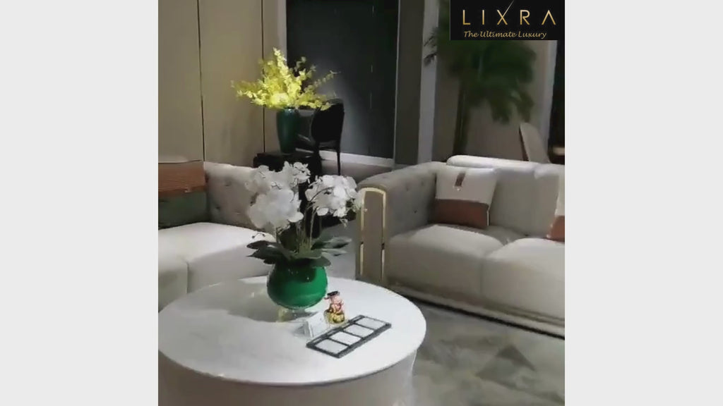 Luxurious Tufted Back Leather Sofa Set / Lixra