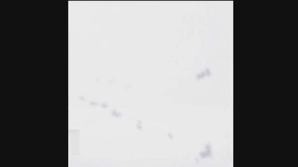 Oval Shaped Marble Dining Table Set / Lixra