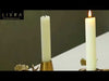 Nature Inspired Metal Candlestick Holder