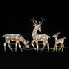 Winter Wonderland Deer Family Display/Lixra