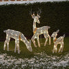 Winter Wonderland Deer Family Display/Lixra