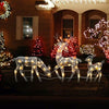 Winter Wonderland Deer Family Display/Lixra