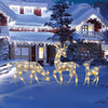 Winter Wonderland Deer Family Display/Lixra